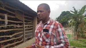La grippe aviaire décime des milliers de poulets à Coyah et Forécariah